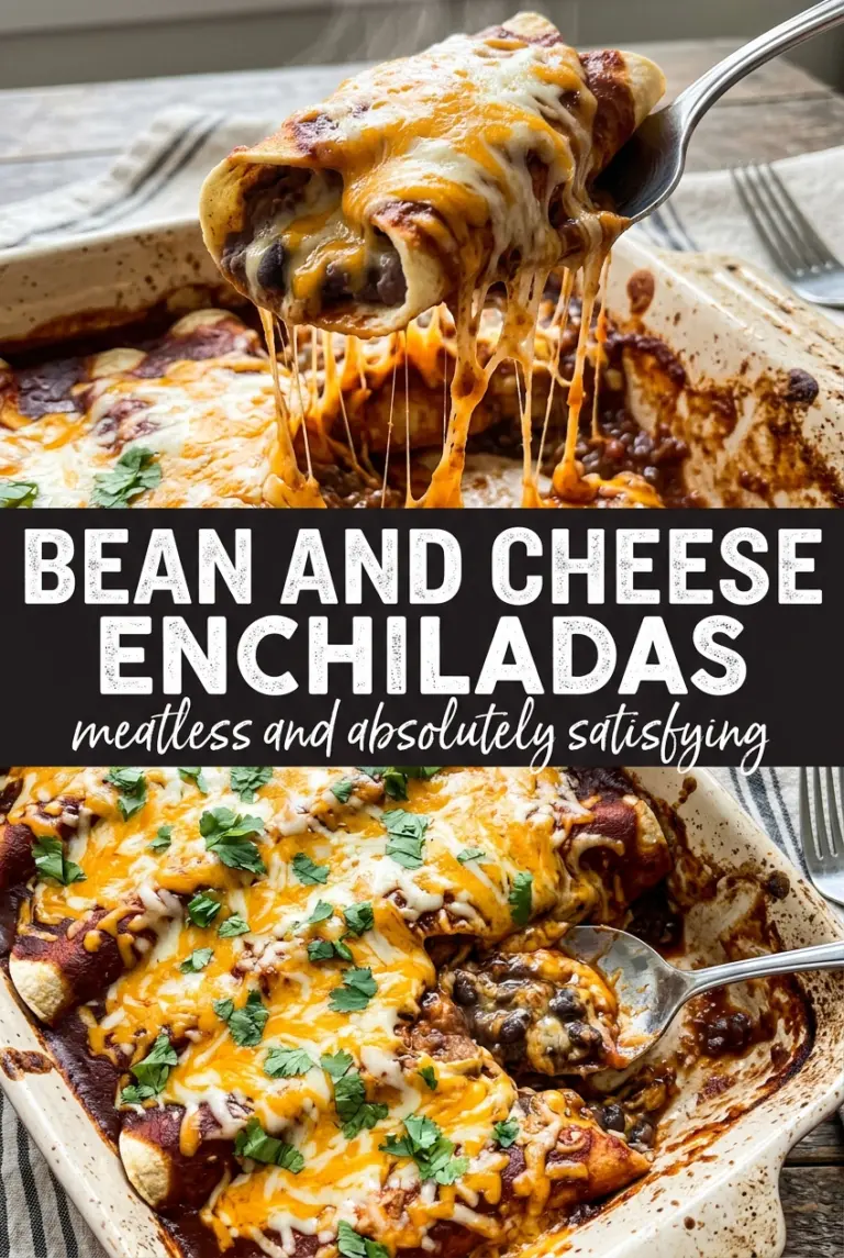 Bean and Cheese Enchiladas