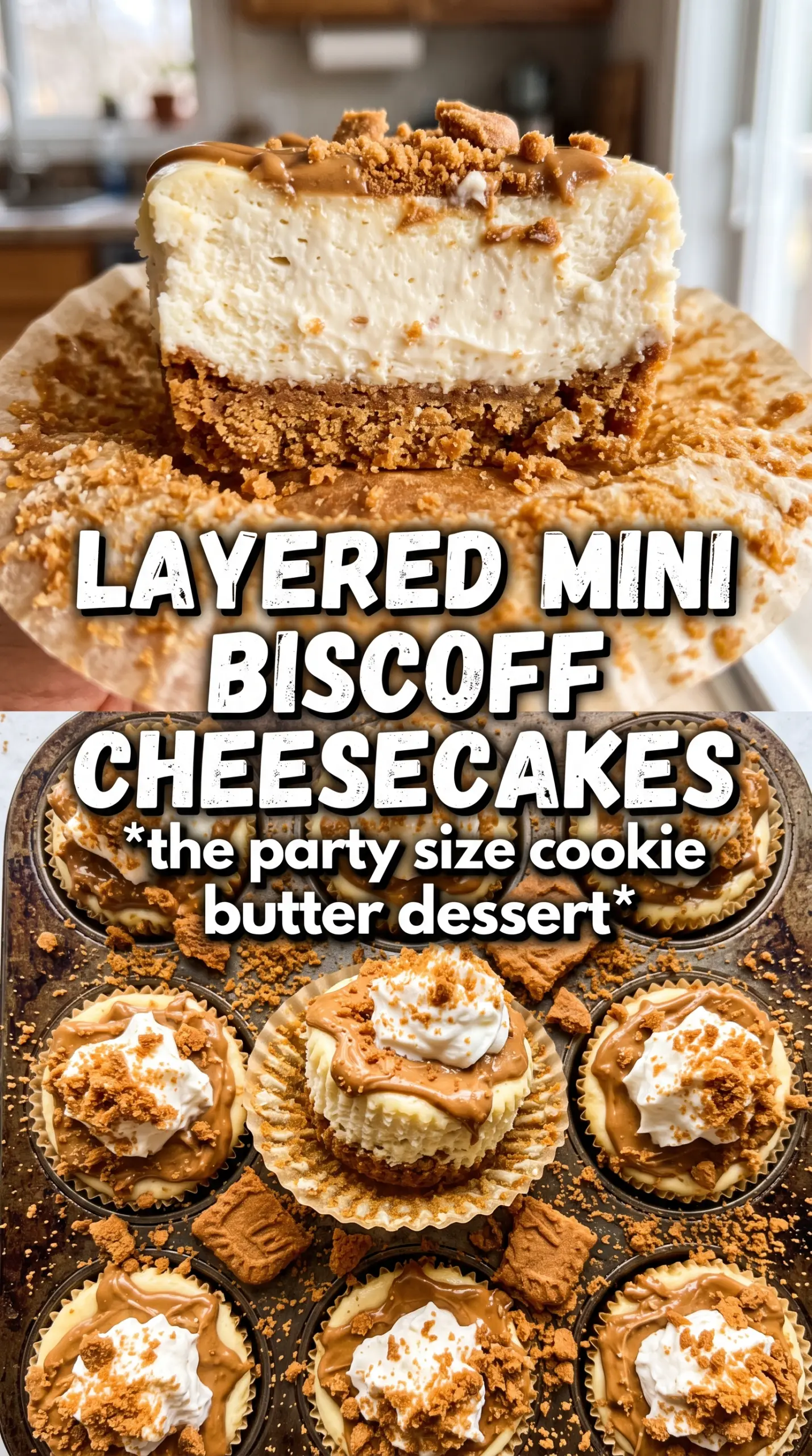 Mini Biscoff Cheesecakes creamy cookie butter